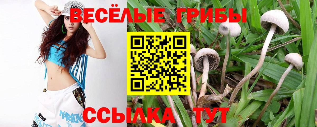 Холмск  Псилоцибиновые грибы мухоморы  Псилоцибиновые грибы мицелий  как найти закладки  Вход с VPN 